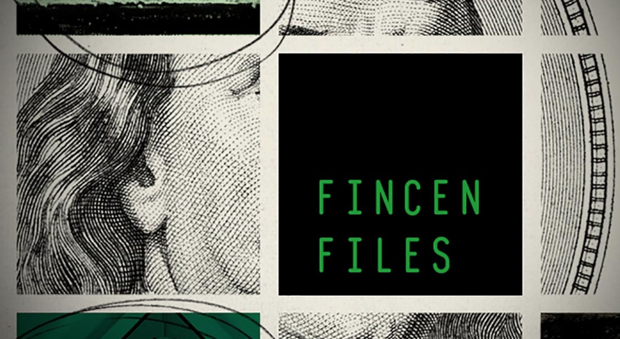 Dissenter Weekly: FinCEN Files Whistleblower Sentenced (Exclusive For Paid Subscribers)