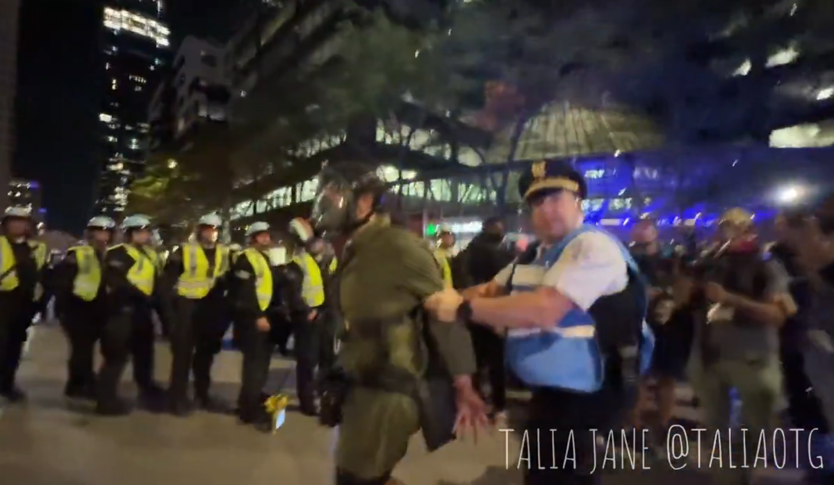 Chicago Police Arrest Several Journalists While Cracking Down On DNC Protest