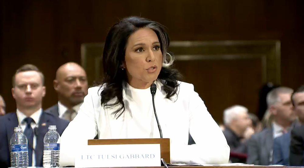 Gabbard Singles Out Media That Allegedly Published 'Politically-Motivated Leaks'